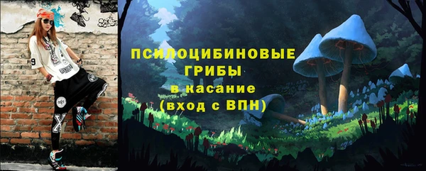 прущая мука Арсеньев
