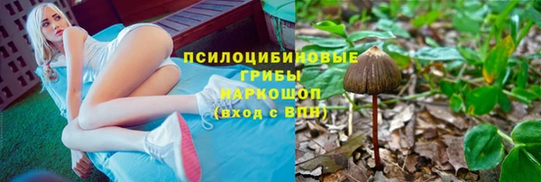 СК Армянск