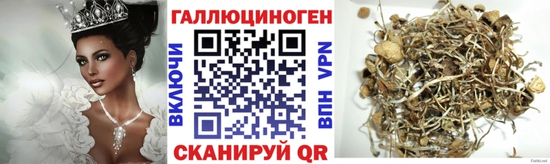 Псилоцибиновые грибы мицелий  закладки  Орёл 